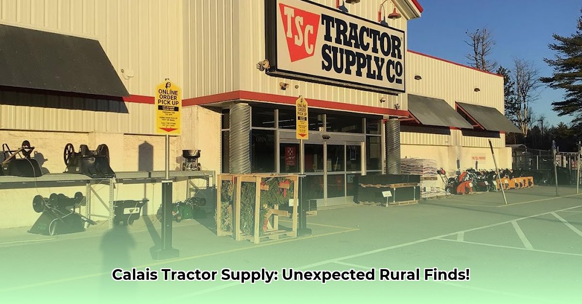tractor-supply-calais-maine